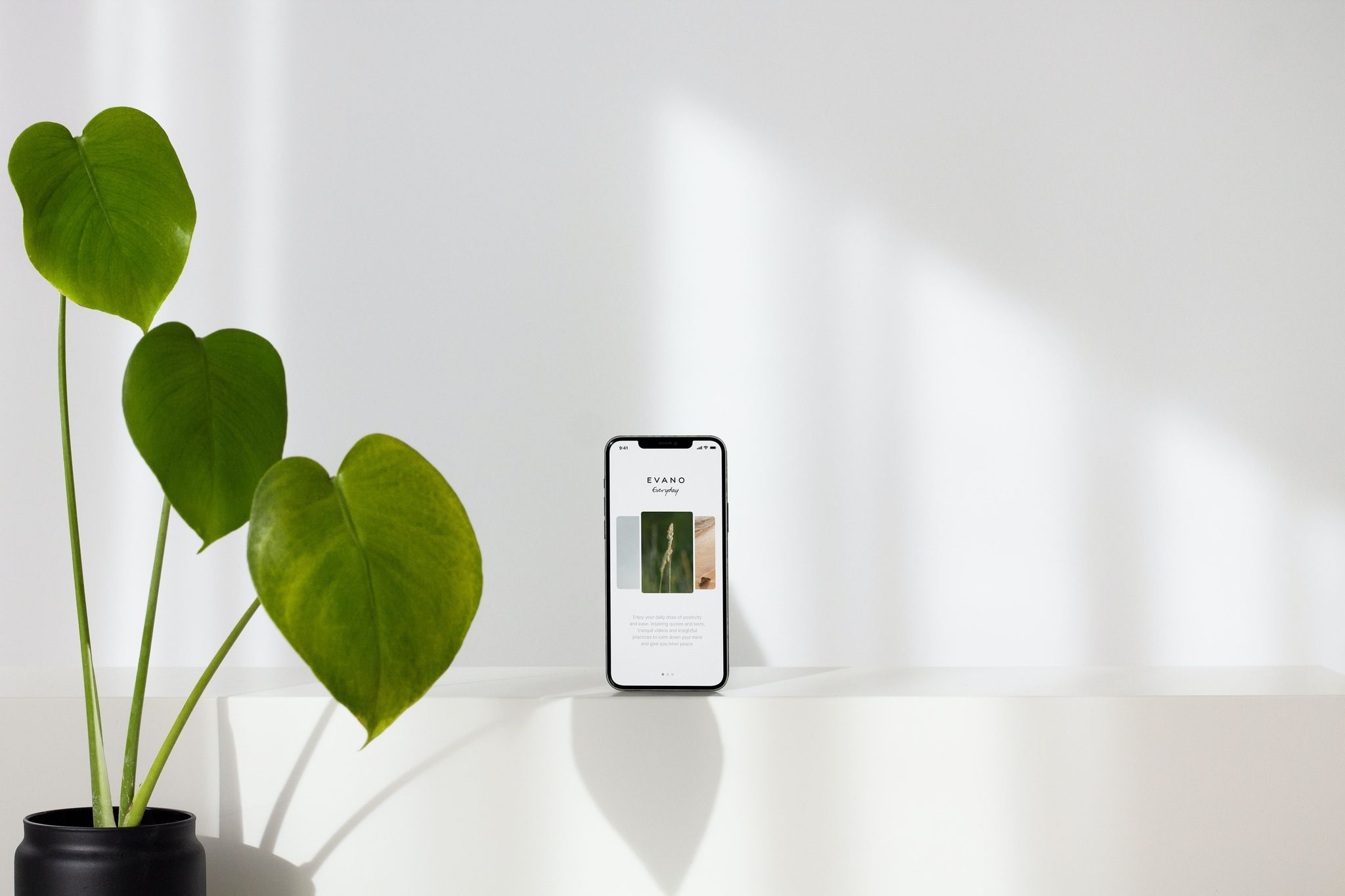 Téléphone avec une plante sur le côté sur un fond blanc